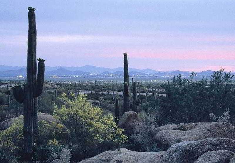 Residence Inn Scottsdale North Екстериор снимка
